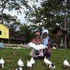 anggunsarikanaya
