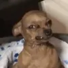 pawawawaw2