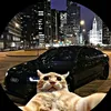 thiagogomez964