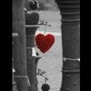 farwasheikh85