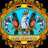 andiexopets