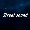 street_sound124