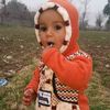 niazafridi050