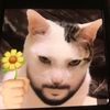 cerealcakesreal_