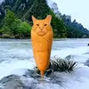 crazy_cat327