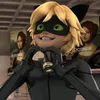 iludida..pelo..chatnoir