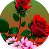 raja.imran947