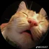 may_oiii17