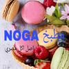 noga553