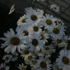 no_uname8