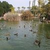 userq8gr7qgdgb