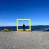 tomasmt4