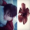 ineditocorazon