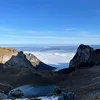 kealkeal75