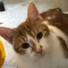 yoooihaveausername