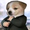 ivangzzp