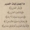 user7811778544762