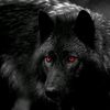 crazyalexgaming10