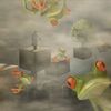 iamfoggyfrog