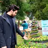 the_alfqar