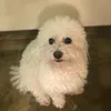 camiramosb
