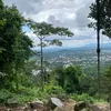 dangngockhang178