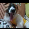albertcortez09