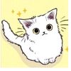user635720891