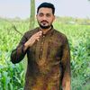 sharifhossain8752