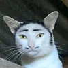 orang_ana04