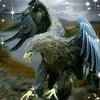 haidermohamed10