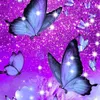 be_swi_girl