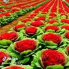 jouda.ep.hammouda