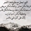 alielmasry937