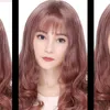 shinerei
