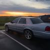 damiencurtis11