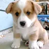 13magayones_1990.com