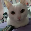 mryktyolsn
