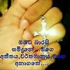 norishaperera