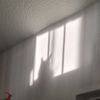 tartaglia_lxver