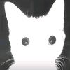 einshine03