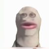 neilplayslax