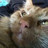 addyanimals6