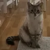 nadia__1303