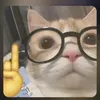 kosmoplanet23