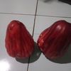 user94696486