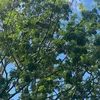 dani_3640