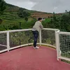 mikemabagaaquinoloon