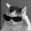 marimoon765