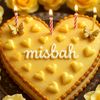 mis_bahul91